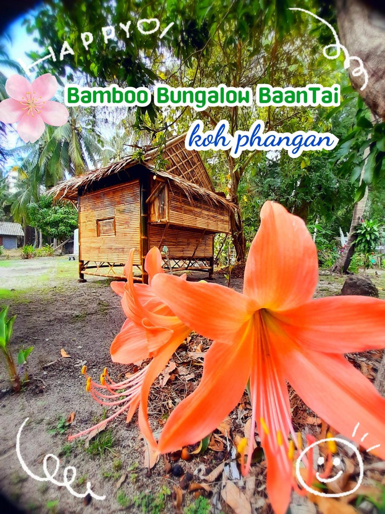 Bamboo Bungalow Baan Tai Phangan Exterior foto